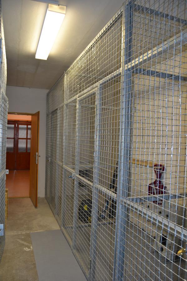 Apartmany Rysi Skala Loučná nad Desnou Eksteriør billede